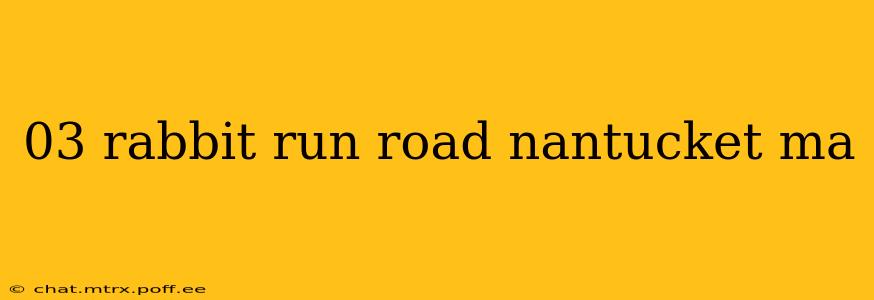 03 rabbit run road nantucket ma