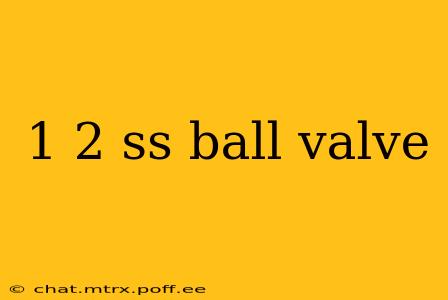 1 2 ss ball valve