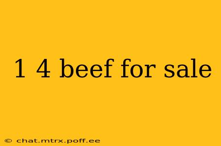 1 4 beef for sale