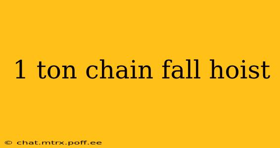 1 ton chain fall hoist