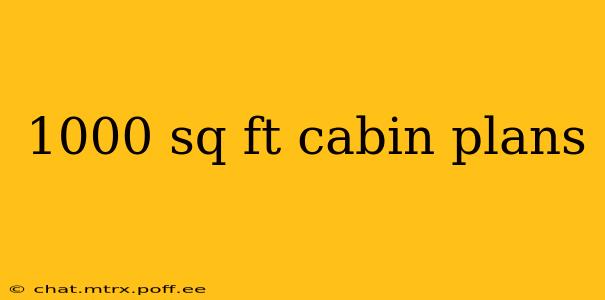 1000 sq ft cabin plans