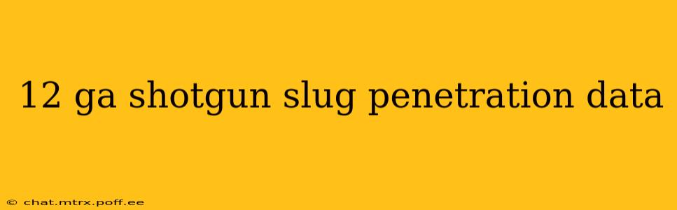 12 ga shotgun slug penetration data