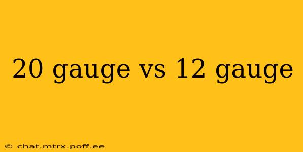20 gauge vs 12 gauge