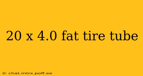 20 x 4.0 fat tire tube