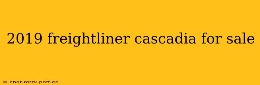 2019 freightliner cascadia for sale
