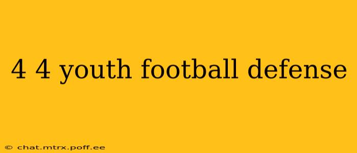 4 4 youth football defense