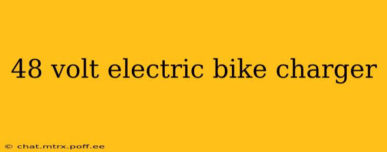 48 volt electric bike charger