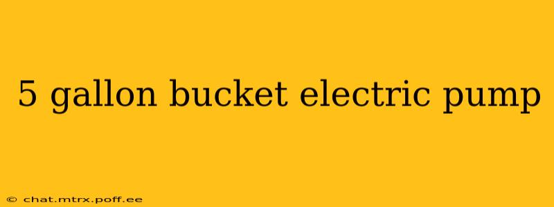 5 gallon bucket electric pump