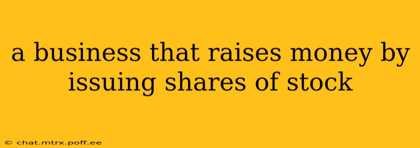 a business that raises money by issuing shares of stock