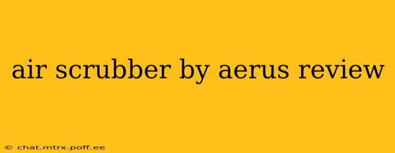 air scrubber by aerus review