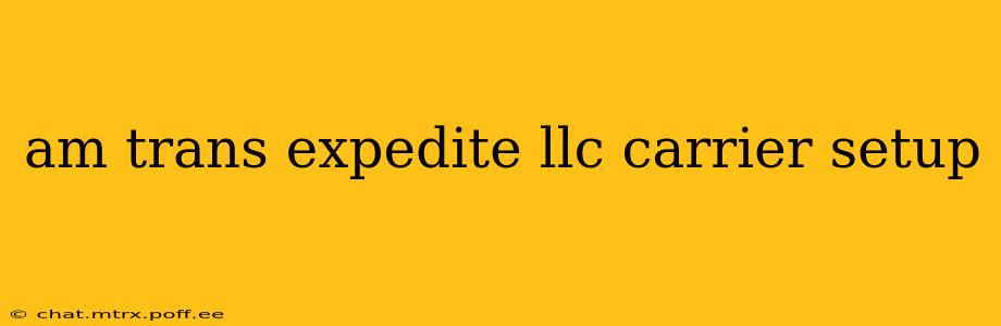 am trans expedite llc carrier setup