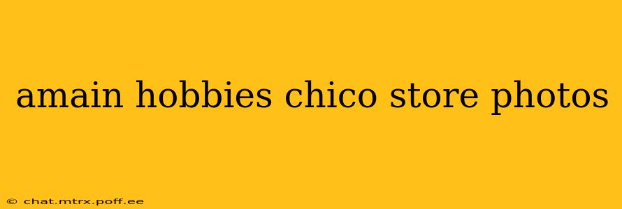 amain hobbies chico store photos