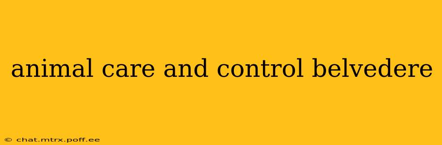 animal care and control belvedere
