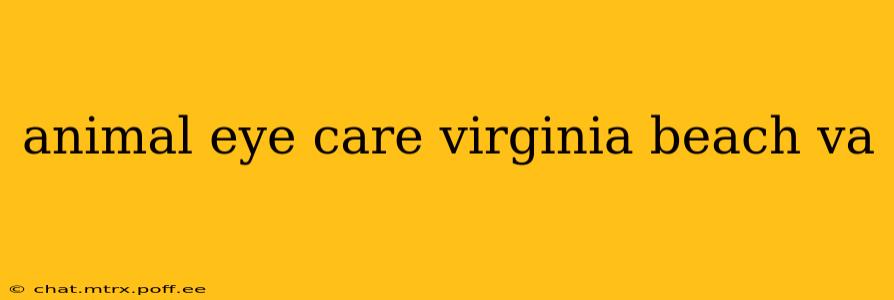 animal eye care virginia beach va