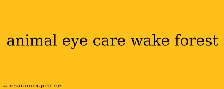 animal eye care wake forest