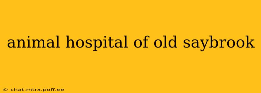 animal hospital of old saybrook