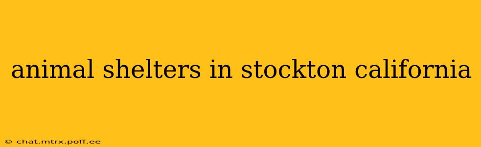 animal shelters in stockton california