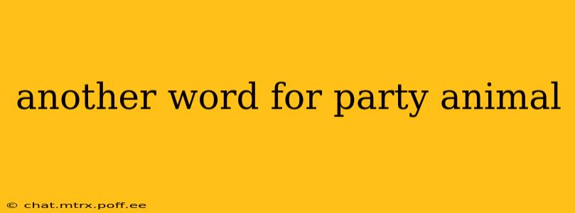 another word for party animal