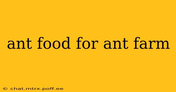 ant food for ant farm