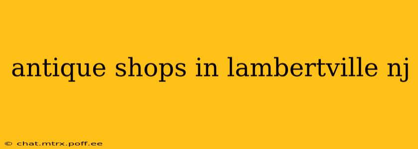 antique shops in lambertville nj