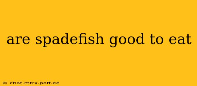are spadefish good to eat