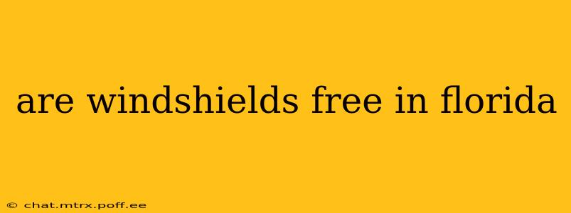 are windshields free in florida