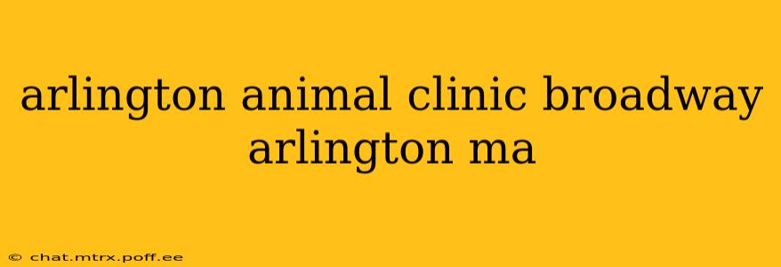 arlington animal clinic broadway arlington ma