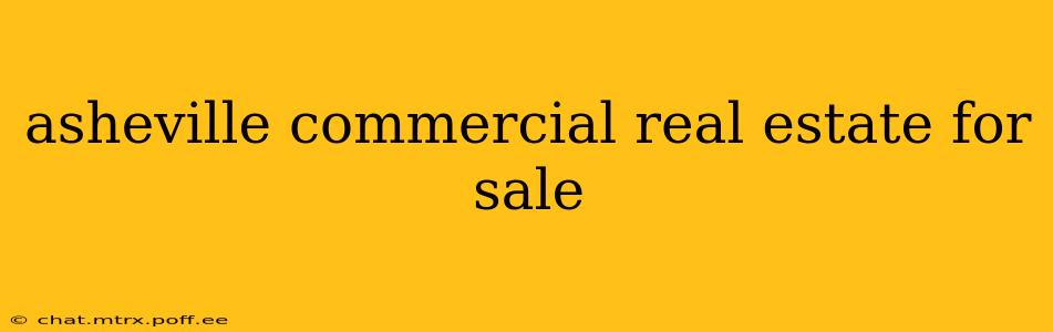asheville commercial real estate for sale