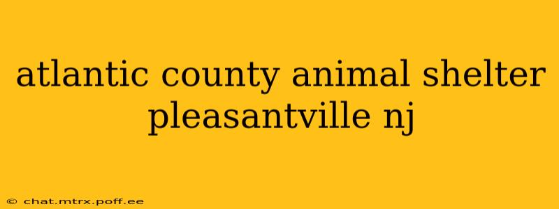 atlantic county animal shelter pleasantville nj