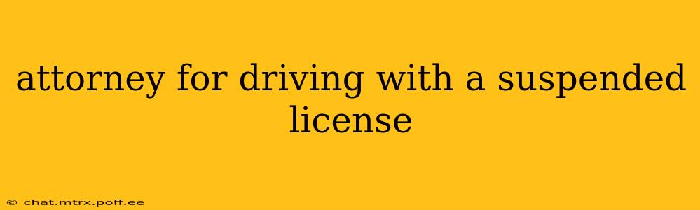 attorney for driving with a suspended license