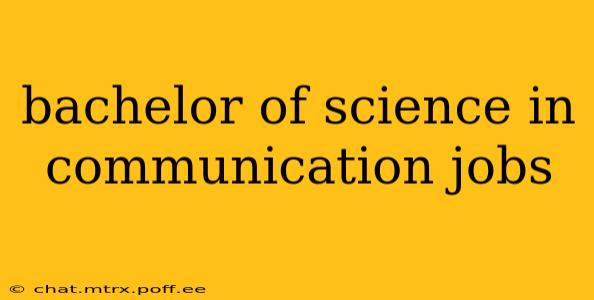 bachelor of science in communication jobs