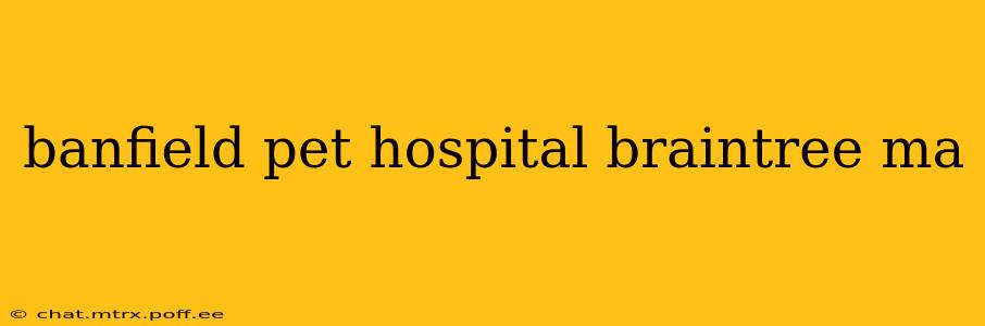 banfield pet hospital braintree ma