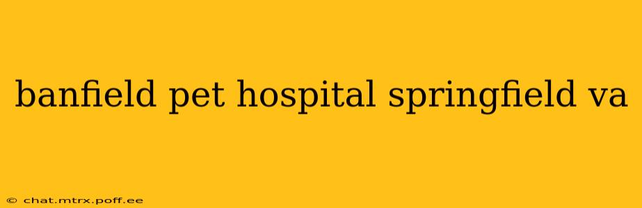 banfield pet hospital springfield va