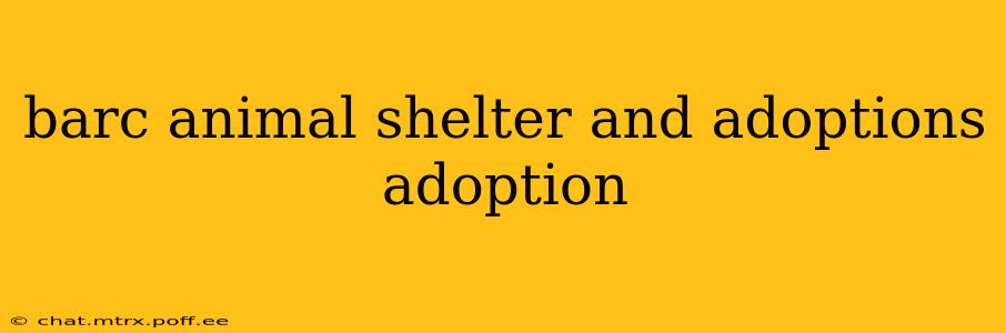 barc animal shelter and adoptions adoption
