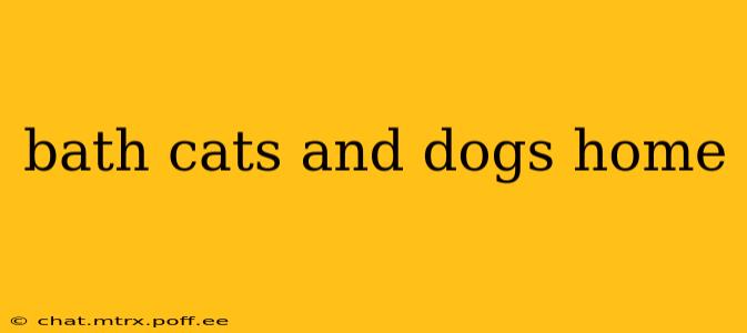 bath cats and dogs home