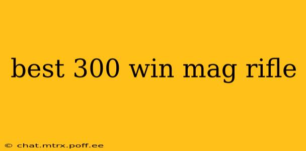 best 300 win mag rifle