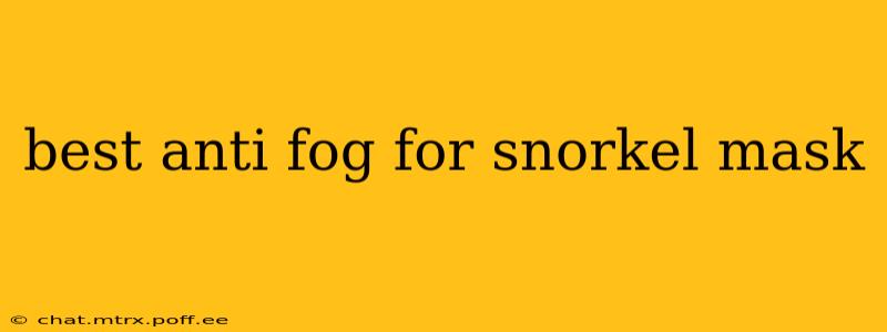 best anti fog for snorkel mask