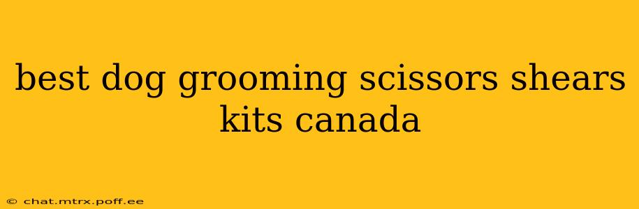 best dog grooming scissors shears kits canada