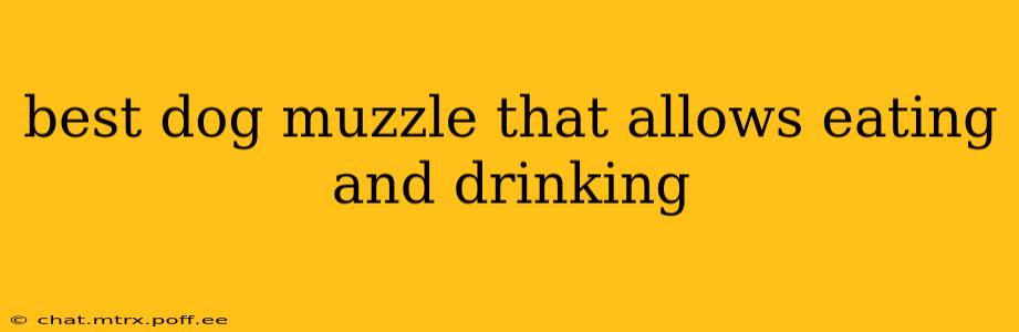 best dog muzzle that allows eating and drinking