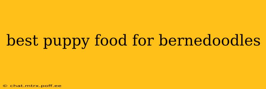 best puppy food for bernedoodles