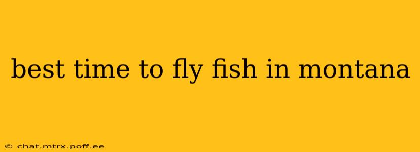 best time to fly fish in montana
