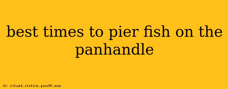 best times to pier fish on the panhandle