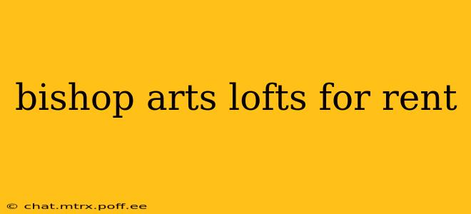 bishop arts lofts for rent