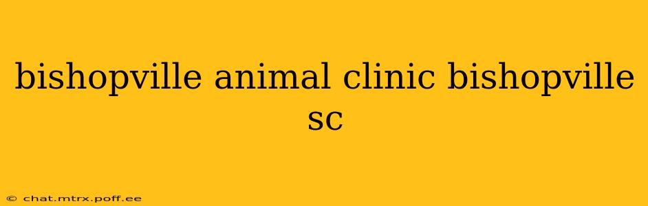 bishopville animal clinic bishopville sc