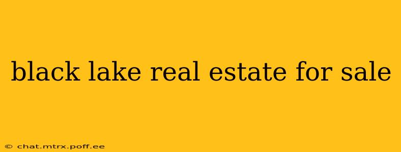 black lake real estate for sale
