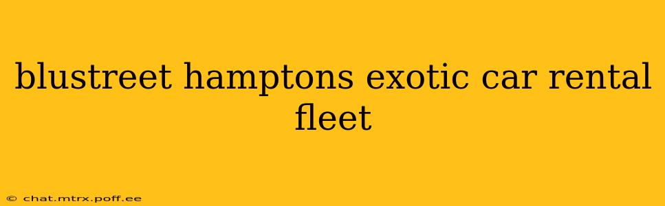 blustreet hamptons exotic car rental fleet