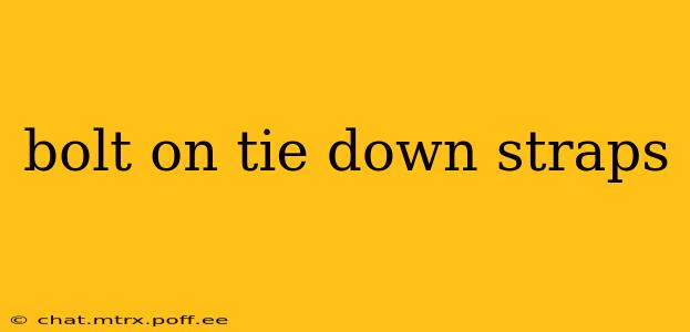 bolt on tie down straps
