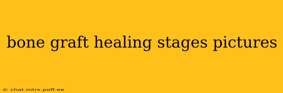 bone graft healing stages pictures