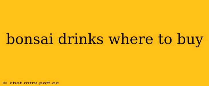 bonsai drinks where to buy