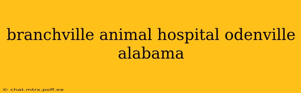 branchville animal hospital odenville alabama
